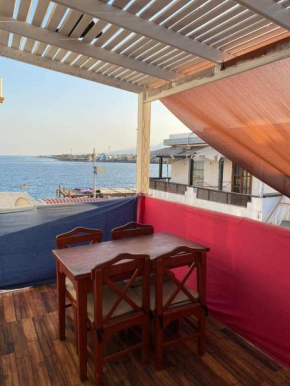 Shrimpoo Dahab
